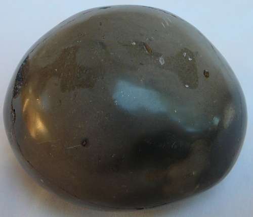 SOMETHING DIFFERENT - Approximately 150 MILLION Years Old Ammonite Fossil