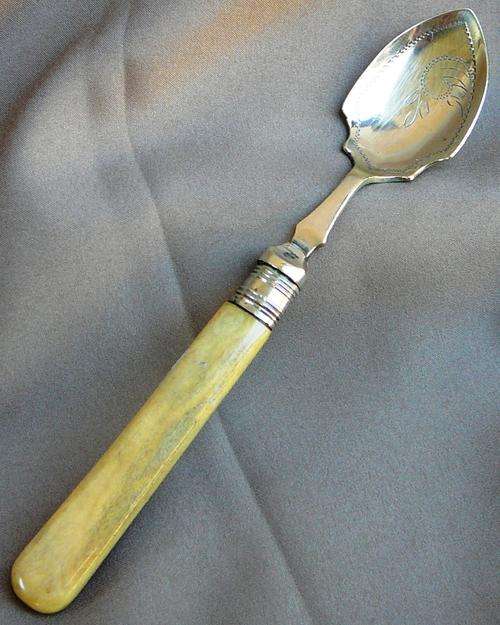 Bone Handled EPNS Jam Spoon