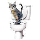 Citi Kitty Toilet Training Kit