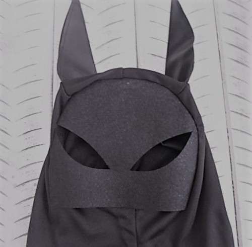 Batman Costume Age  5-6  L