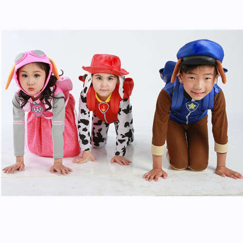 Paw Patrol Skye - Age 3-5 years