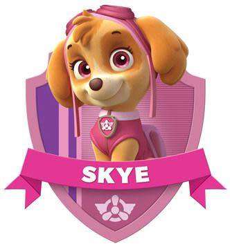 Paw Patrol Skye - Age 3-5 years