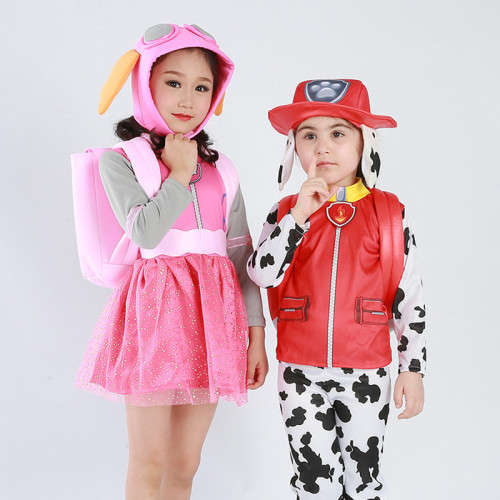 Paw Patrol Skye - Age 3-5 years