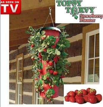 Upside Down Strawberry Planter
