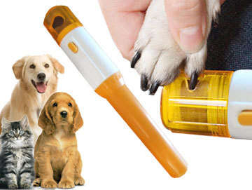 Pet Pedicure