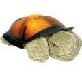 Gorgeous Twilight Turtle Night Light!!! Great for baby!