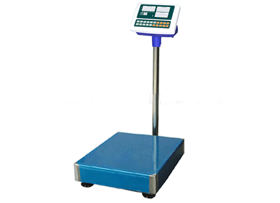 500kg ELECTRONIC PLATFORM PRICE COMPUTING SCALE