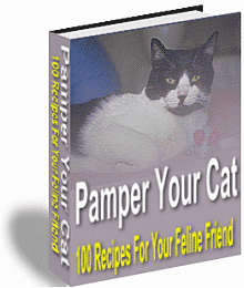 Pamper your cats 100 recipes for your feline friend