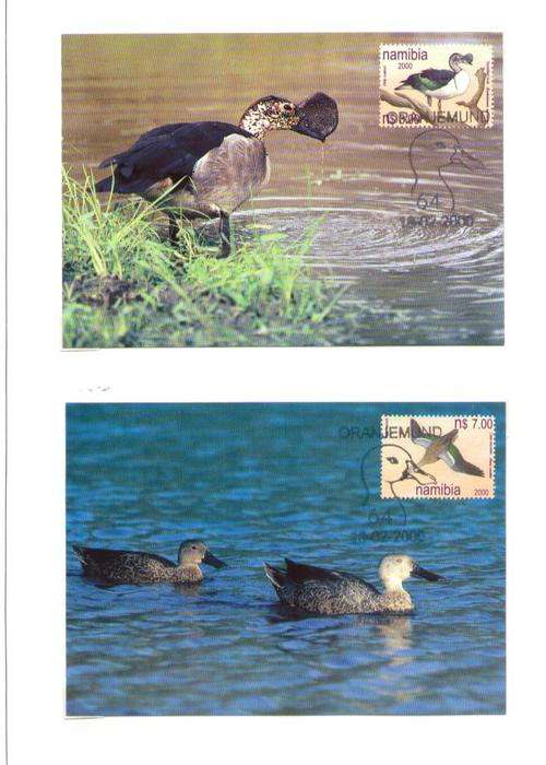 28 FEB 2000. DUCKS OF NAMIBIA. SET OF MAXIMUM CARDS MINT