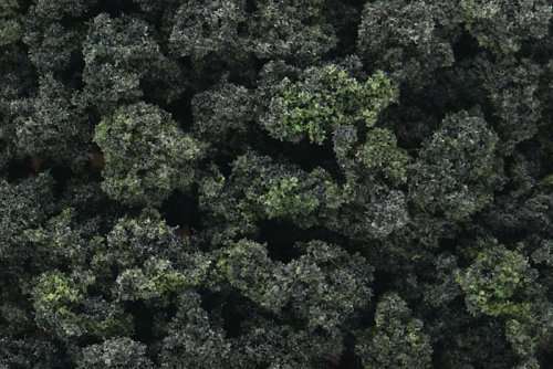Woodland Scenics Bushes - Forest Blend (FC149)