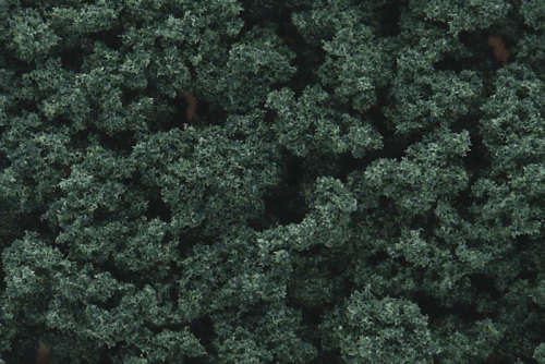 Woodland Scenics Bushes - Dark Green (FC147)