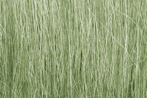 Woodland Scenics Field Grass - Light Green (FG173)