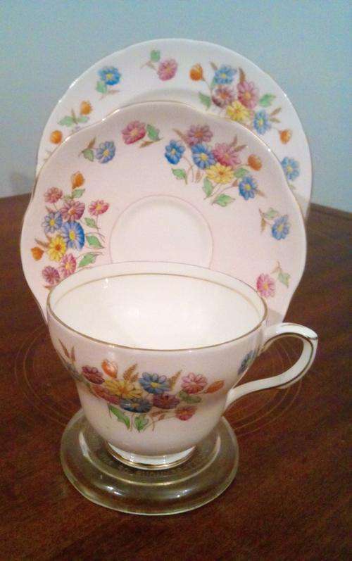 Pretty pale pink spring flowers trio 2