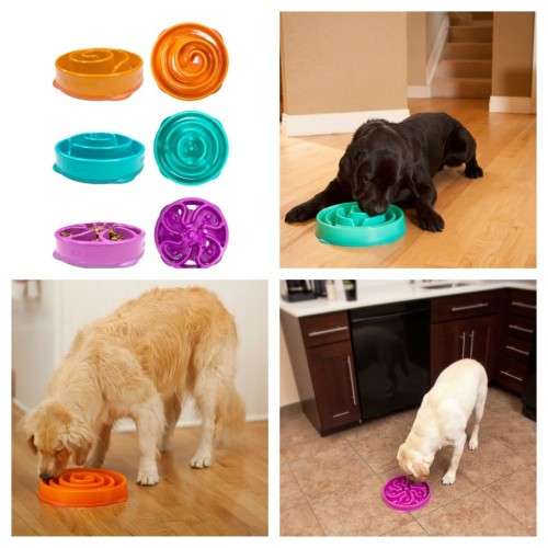 Slo-Bowl Feeder for Dogs