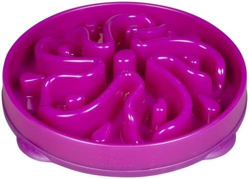 Slo-Bowl Feeder for Dogs