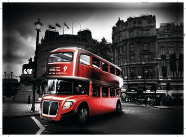 Canvas Prints | 2 Options