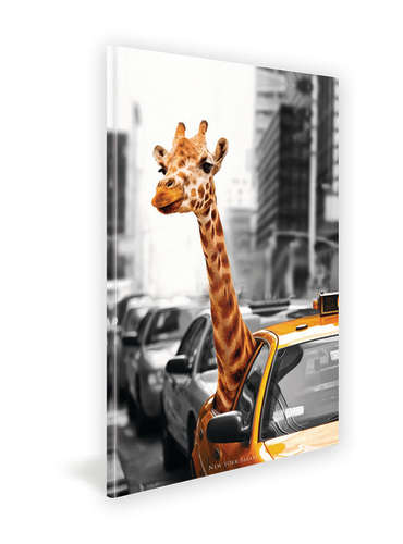 Canvas Prints | 2 Options