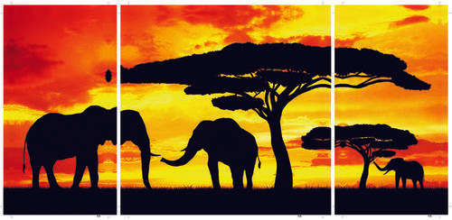 Canvas Prints (120cm x 60cm) | 3 Options