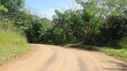 RAMSGATE COUNTRYSIDE STAND WITH PEACEFUL SOLITUDE