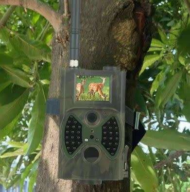 TRAIL/HUNTING CAMERA-GET NOTIFIED IN HD + SMS ON YOUR CELLPHONE-EARLY WARNING-ALL PICS/VIDEOS SAVED