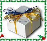 CHRISTMAS - Scrapbook Embellishment and Paper Pack - Over 250 pieces***Not to be missed!***