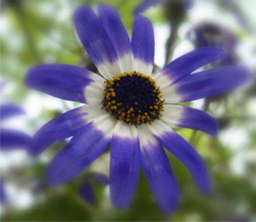 STUNNING Rainbow Bead and Fittings Kit - 3600+/- pieces