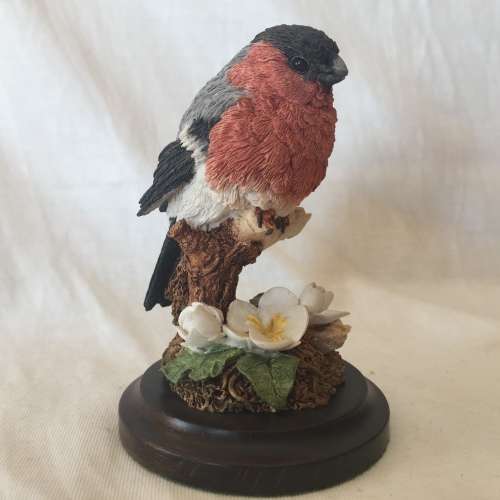 Country Artists - Bird