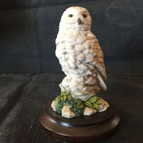 Country Artists - Owl