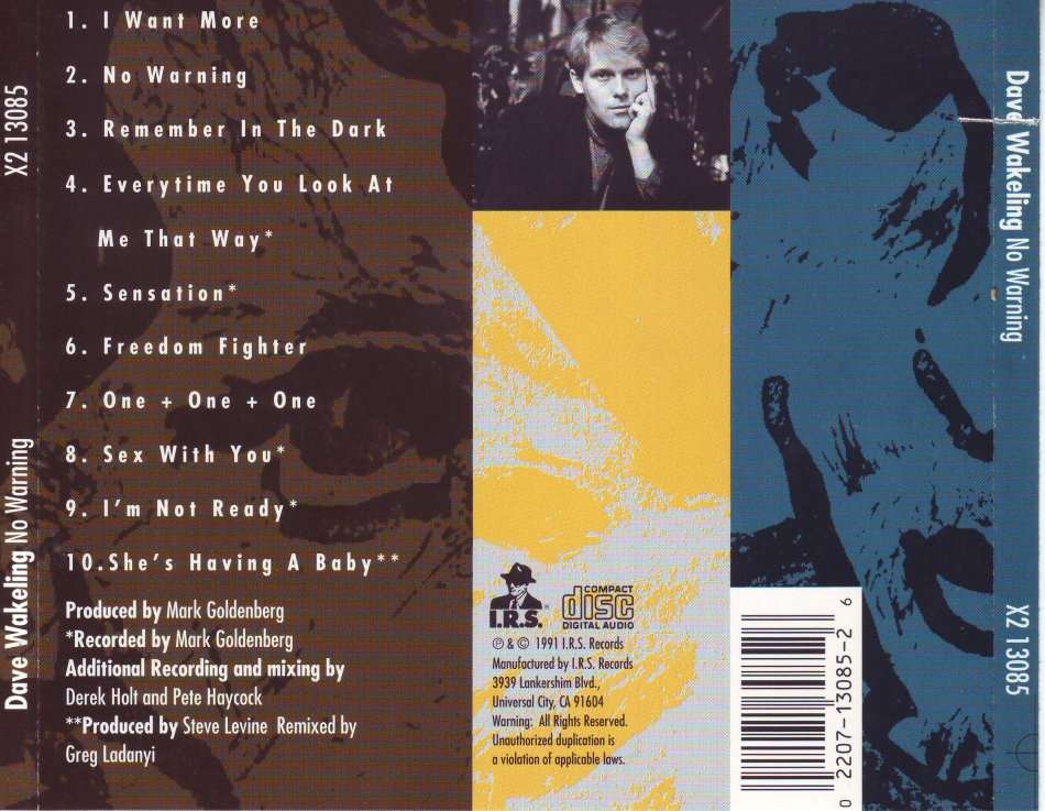 DAVE WAKELING (from the Beat) - No warning (CD, cut out in spine) X2 13085 EX