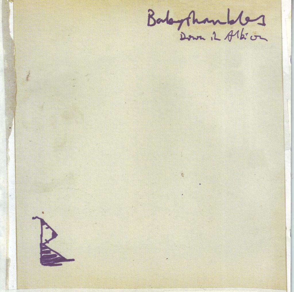 BABYSHAMBLES - Down In Albion (CD) RTRADCD290 EX