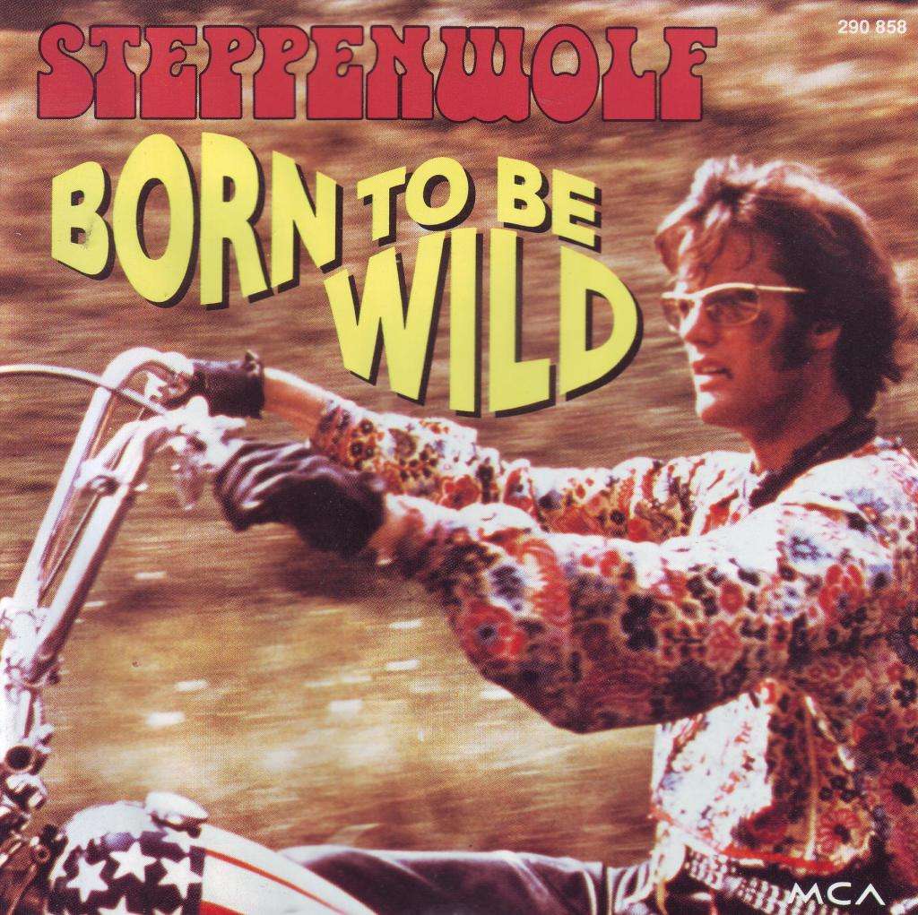 STEPPENWOLF - Born to be wild (CD) 290 858 VG+