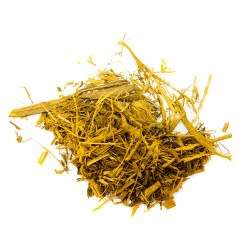 Banisteriopsis Caapi - Yellow Vine - Peru