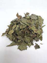 Chacruna (Psychotria viridis)