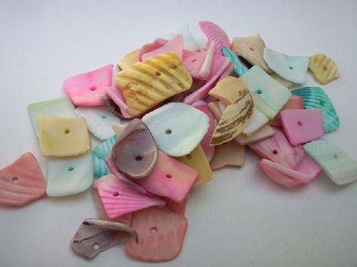 Pack of 12 - ASSORTED COLOURS SHELL PIECES