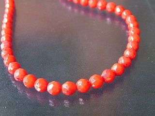 AAA grade red coral faceted bead, 6mm. 40cm long string.