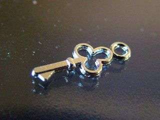 Key charm - 16.8 mm - 1key