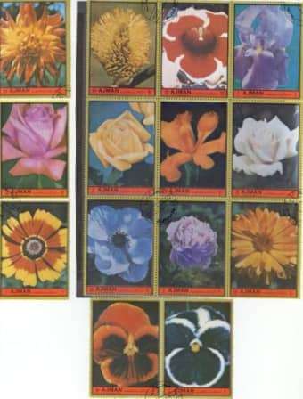 Flowers Complete Used Set Of 1972 Ajman 0822