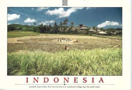 Indonesia Selection Thematic And Topical Collection Of Mnh and Used Part Set FDC0444