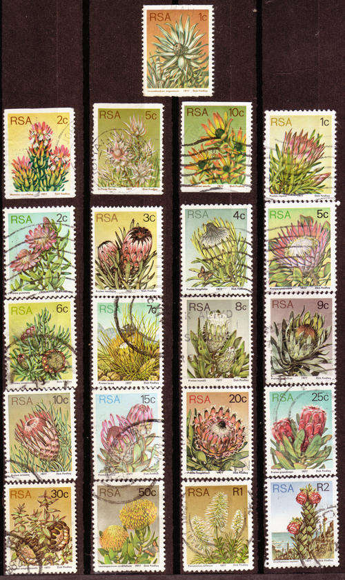 SOUTH AFRICA 1977 3rd DEFINITIVE ISSUE PROTEAS COMPLETE USED SET + COILS