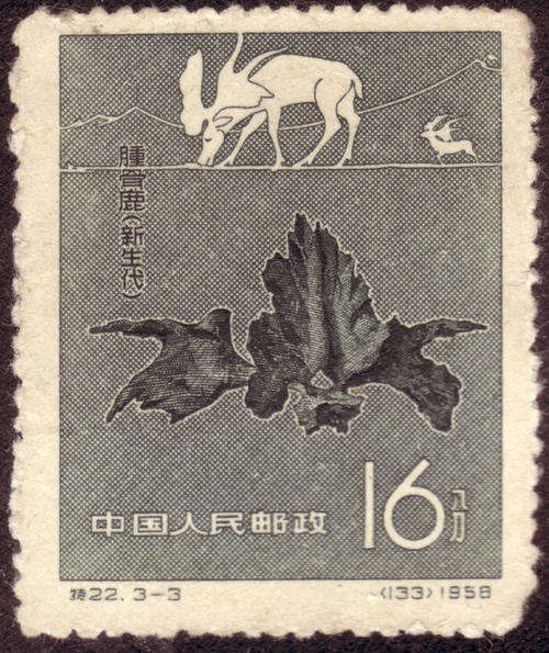 CHINA 1958 CHINESE FOSSILS SINGLE 16f SLATE GREEN USED STAMP SHORT CORNER