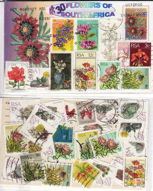 FLOWERS OF SOUTH AFRICA 30 STAMPS USED - PACKET FOR CHARITY