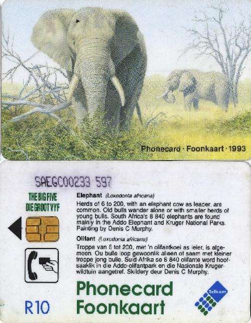SOUTH AFRICAN R10- TELKOM TELEPHONE CALLER CARD - THE BIG 5 ELEPHANT 1993