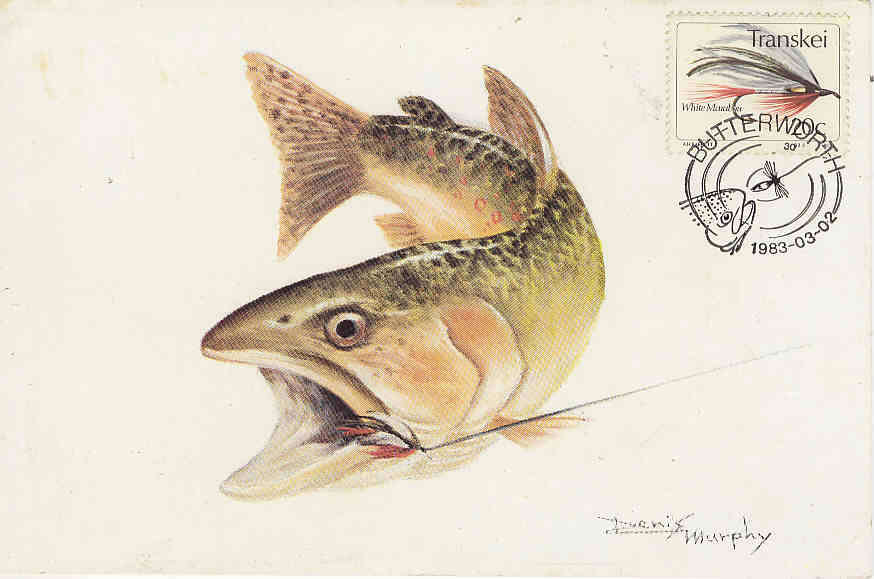TRANSKEI FISHING FLIES 1983 MAXI POSTCARD WHITE MARA BOU