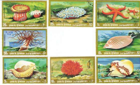 MARINE SEA LIFE COMPLETE CTO USED SET UMM AL QIWAIN