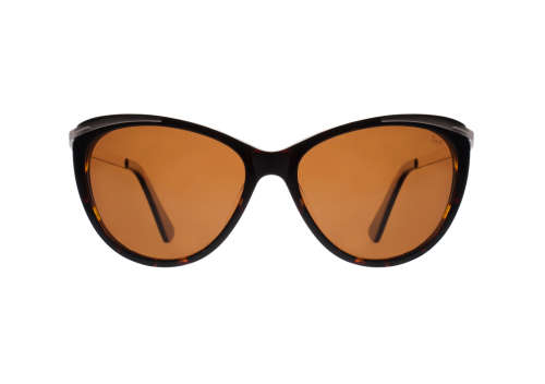 Slaughter & Fox Art Gallery District - 55  17  142 / Whiskey Brown C2 / Acetate