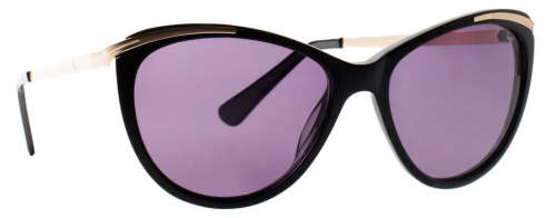 Slaughter & Fox Free Shipping | Art Gallery District | 3 Colours