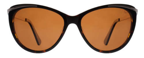 Slaughter & Fox Free Shipping | Art Gallery District | 3 Colours