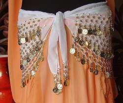 Belly Dance -Coin on Chiffon Shimmy Belt