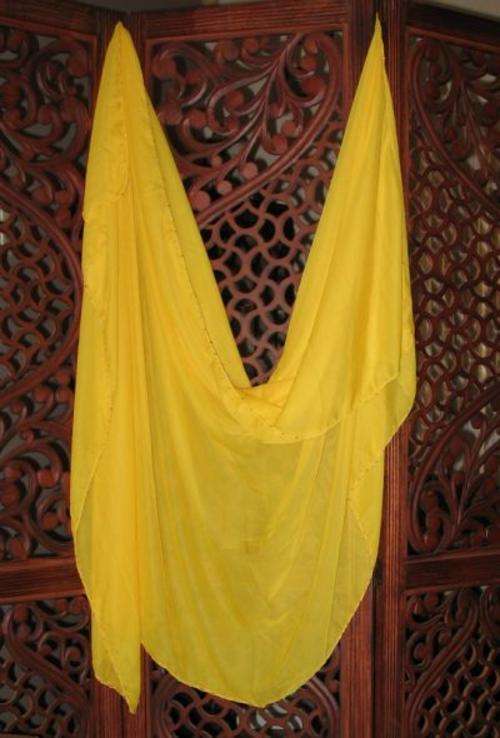 "Special" Belly Dance Veils
