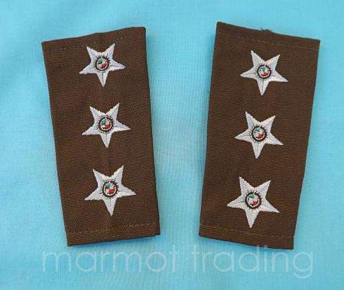 SANDF - Captain Embroidered Field Dress Slip-On Rank Insignia 1996 - 2002